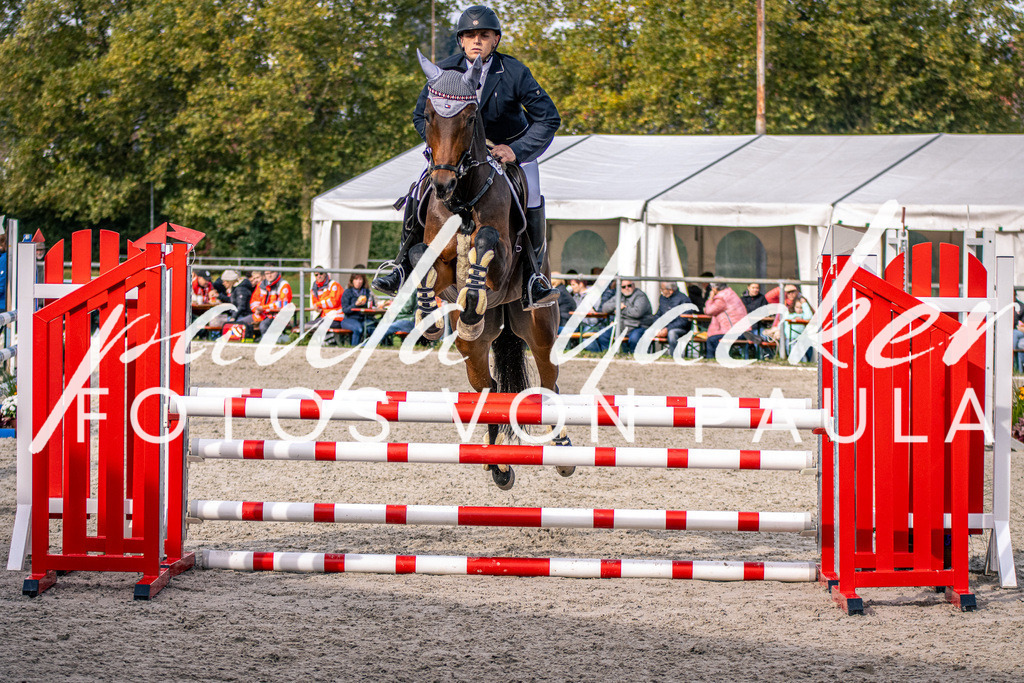 IMG_5393 | Erleben Sie dynamische Sport- und emotionale Tierfotografie in Süddeutschland mit Fotos von Paula. Spezialisiert auf Pferde- und Hundefotografie sowie Sportevents. Kontaktieren Sie mich für einzigartige und ausdrucksstarke Bilder Ihrer besonderen Momente. - Realisiert mit Pictrs.com