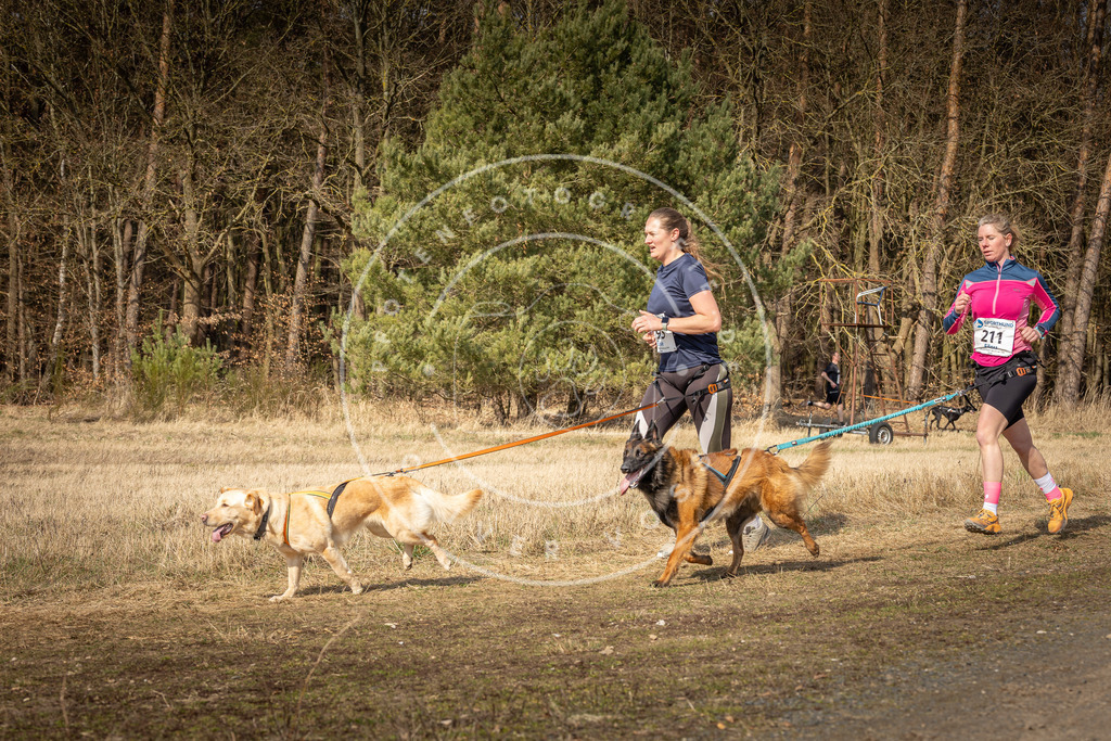 DV3A5796 | Hundefotografie, Tierfotograf, Pfotenfotografie, Fotoshooting Hund, Hunde Portrait, Hundesport, Hundeportraits, Heideshooting, Hunde, Sportfotograf, Hundefotograf, Turnierhundsport, THS,  - Realisiert mit Pictrs.com