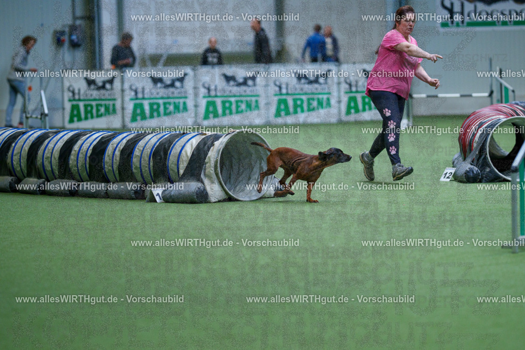 @allesWIRTHgut_Tierfotografie - www.allesWIRTHgut.de - 2604251104-7R501004 | Professionelle Tierfotografie in Mönchengladbach von Daniel Wirth (allesWIRTHgut). Liebevolle & natürliche Bilder von Hunden & Katzen für unvergessliche Erinnerungen.
