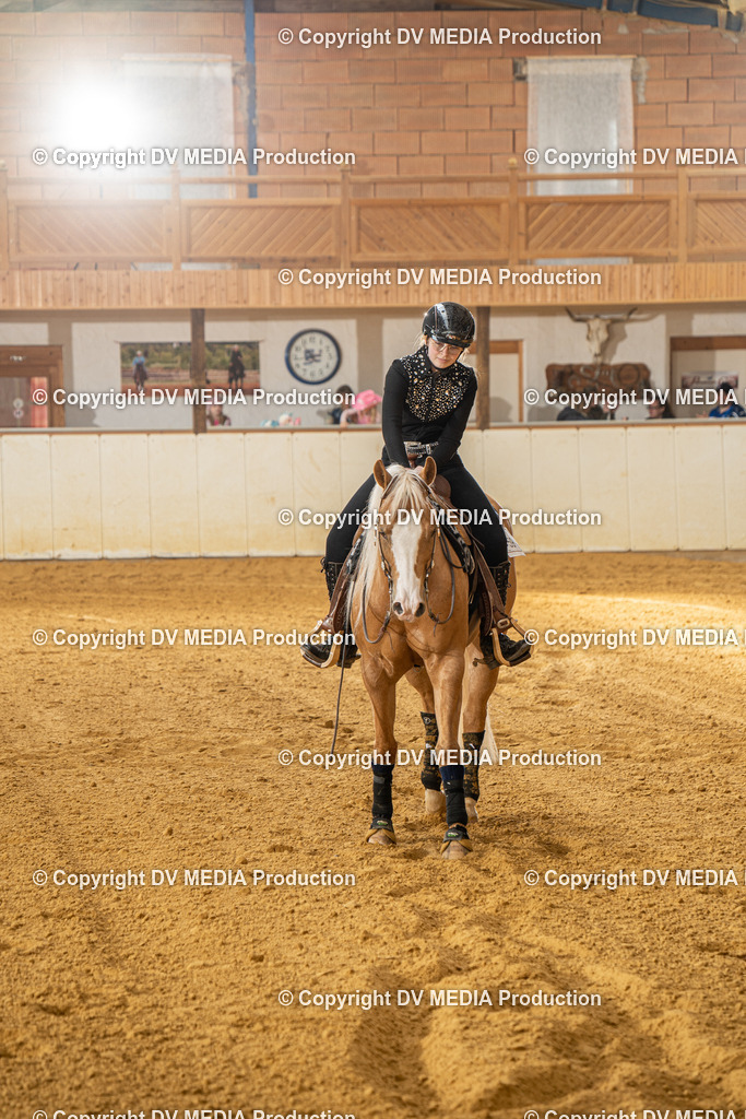 MIT01007 | dv-media-shop - Realisiert mit Pictrs.com