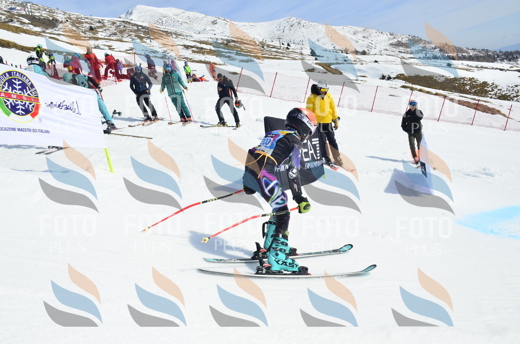 _ELE1369 | holidayphoto