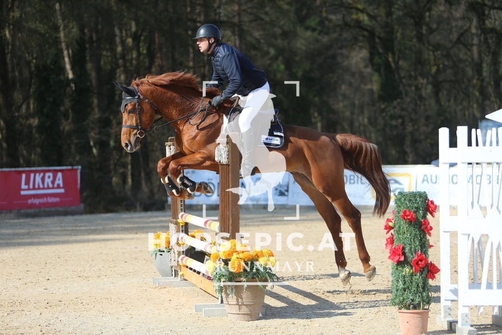 DL2Q7992 | Willkommen bei Brunnmayr - Design & Fotografie – Ihrem Spezialisten für Reitturniere und Pferdeveranstaltungen in Oberösterreich, Salzburg und Bayern! Seit über 17 Jahren sind wir leidenschaftlich dabei.