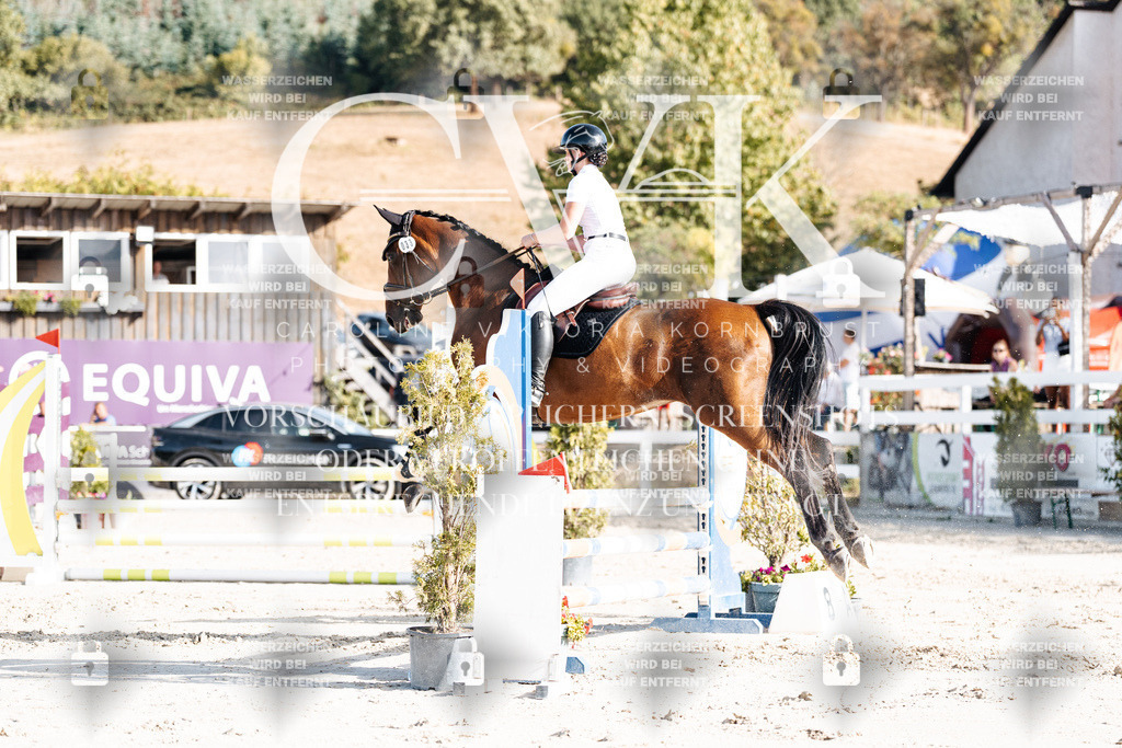CK909458 | Turnierfotografie Pferdefotografie Trier Rheinland-Pfalz Pferdesport Reitsport Tierfotografie Sportfotografie Pferdevideo Pferdevideografie Equestrianvideography equestrianphotography  - Realisiert mit Pictrs.com