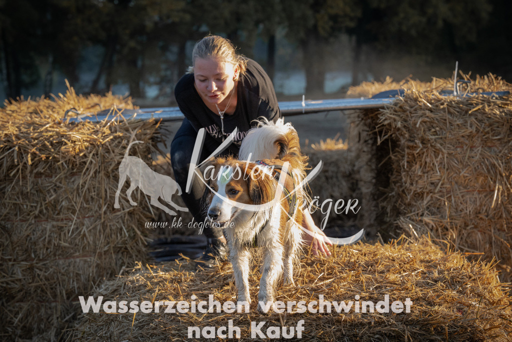 0902_ZZ90767 | kk-dogfotos