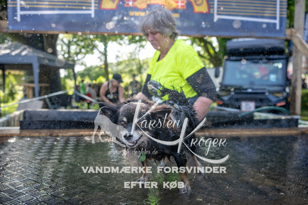 1539_ZZ92354 | kk-dogfotos