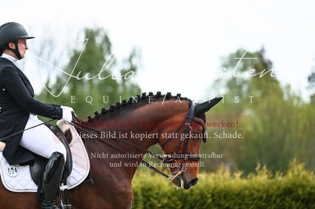 20230514_JK-Röhrsdorf-20-230 | Pferde- und Turnierfotografie in Westsachsen. Pferdeportraits, Auftragszeichnungen und intuitive Kunst.