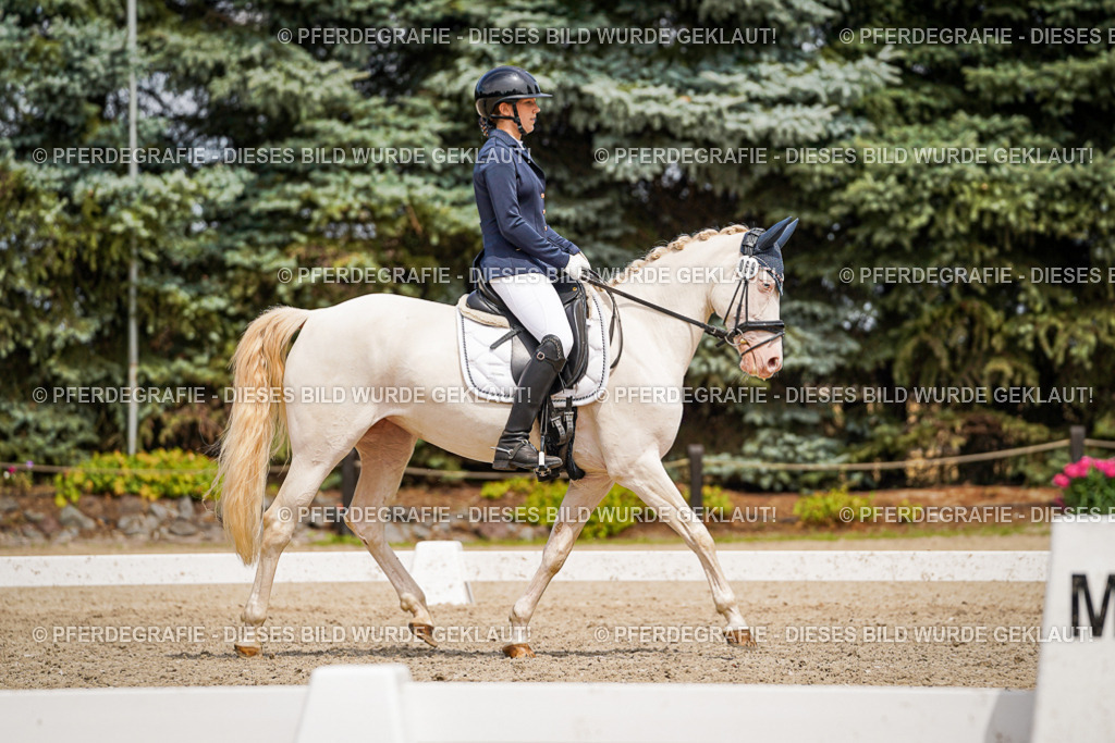 DSC04134 | Pferdegrafie