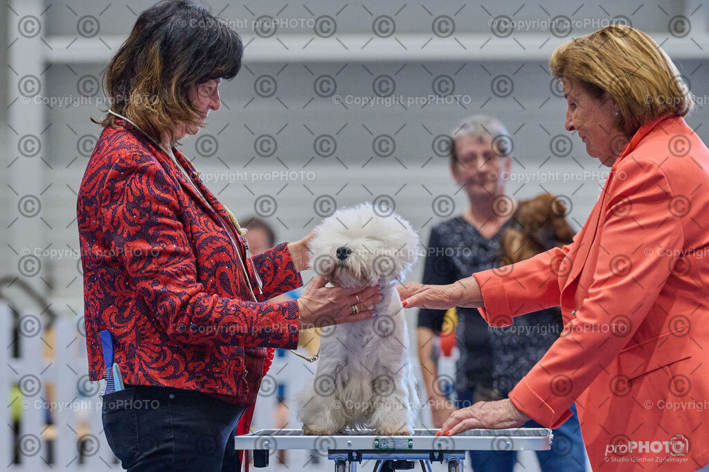 202406_ÖKV-IHA-Tulln24_DSC_5325 | proPHOTO - Realisiert mit Pictrs.com