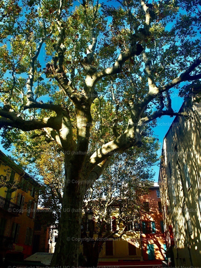 PA272051-1 | OLYMPUS DIGITAL CAMERA          - Realisiert mit Pictrs.com