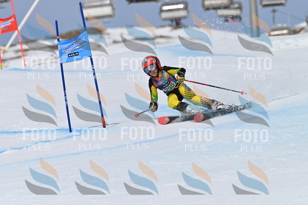 BGV_5890 | holidayphoto