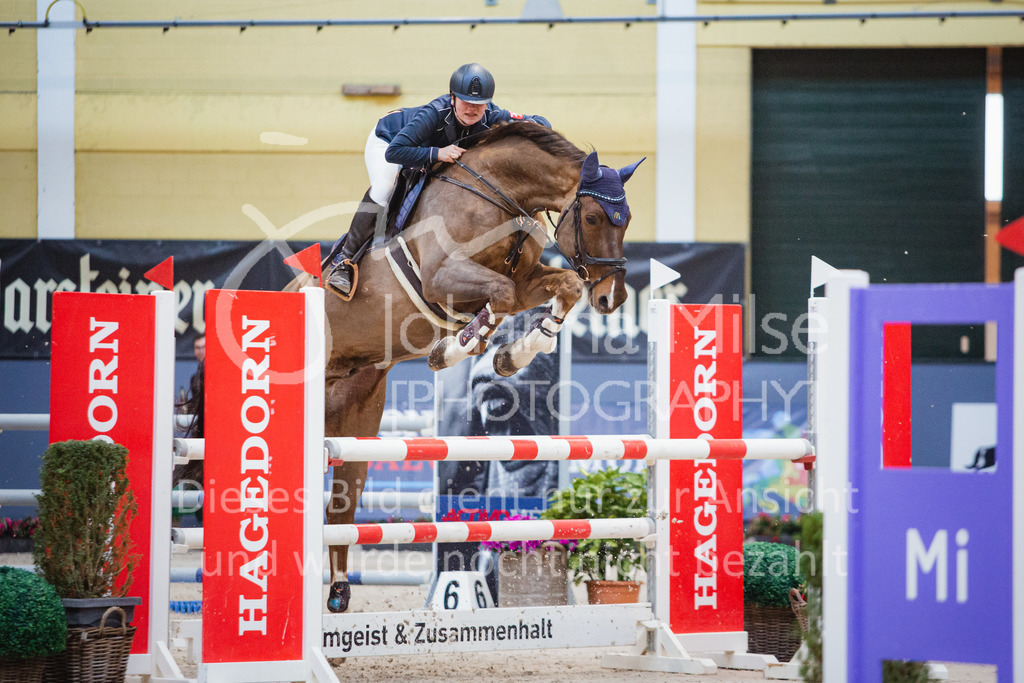 221112_Warstein_L-Spr-256 | Deine schönsten Turniermomente als professionelle Fotos! Entdecke hochwertige Pferdesport-Fotografie im Online-Shop. Jetzt Fotos finden & bestellen!