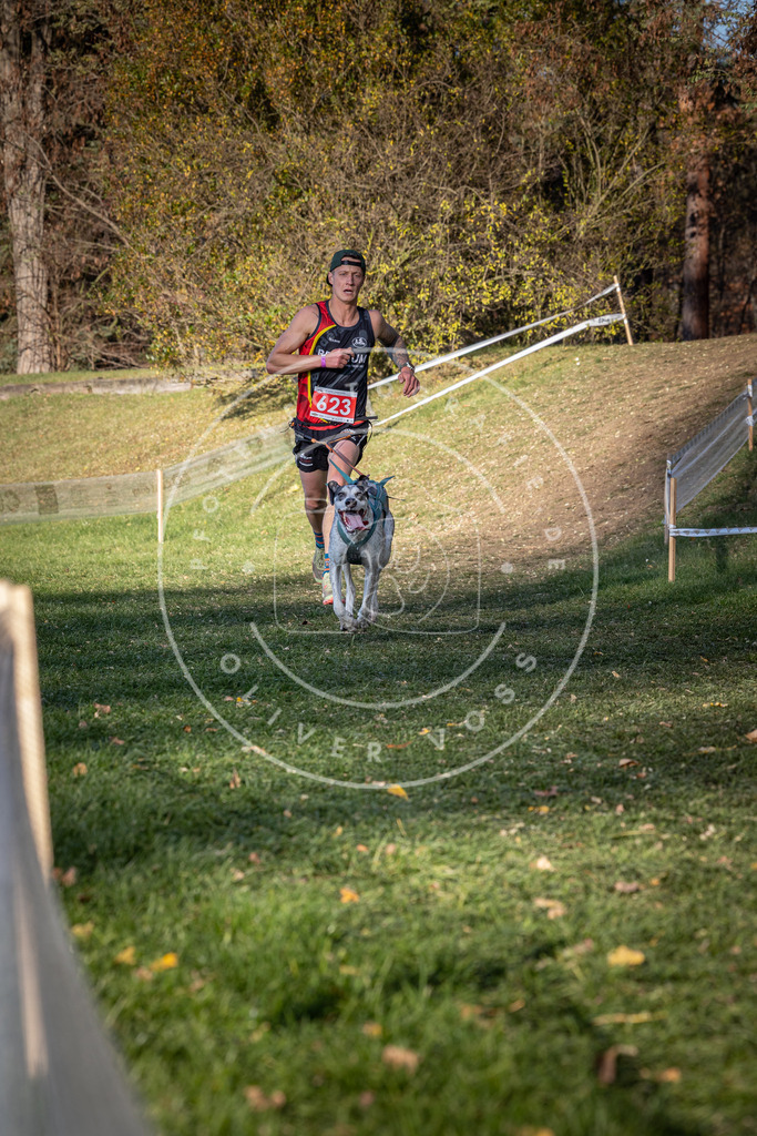 CaniXpix_0L8A8800 | Hundefotografie, Tierfotograf, Pfotenfotografie, Fotoshooting Hund, Hunde Portrait, Hundesport, Hundeportraits, Heideshooting, Hunde, Sportfotograf, Hundefotograf, Turnierhundsport, THS,  - Realisiert mit Pictrs.com
