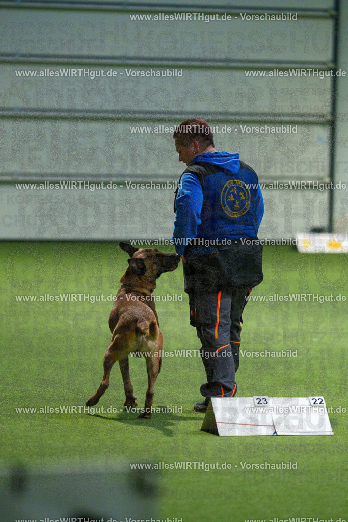 7R507528 | Professionelle Tierfotografie in Mönchengladbach von Daniel Wirth (allesWIRTHgut). Liebevolle & natürliche Bilder von Hunden & Katzen für unvergessliche Erinnerungen.