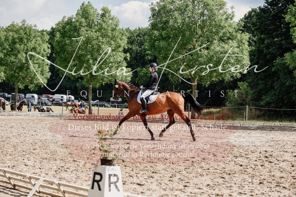 DSC_0452 | Pferde- und Turnierfotografie in Westsachsen. Pferdeportraits, Auftragszeichnungen und intuitive Kunst.