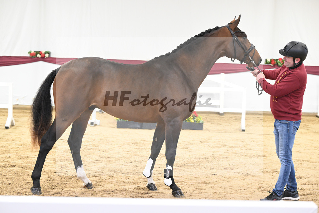 Kat-Nr. 3 Jasper x Carolus I_Klemens Zeil _47250045 | hf-fotografie - Realisiert mit Pictrs.com