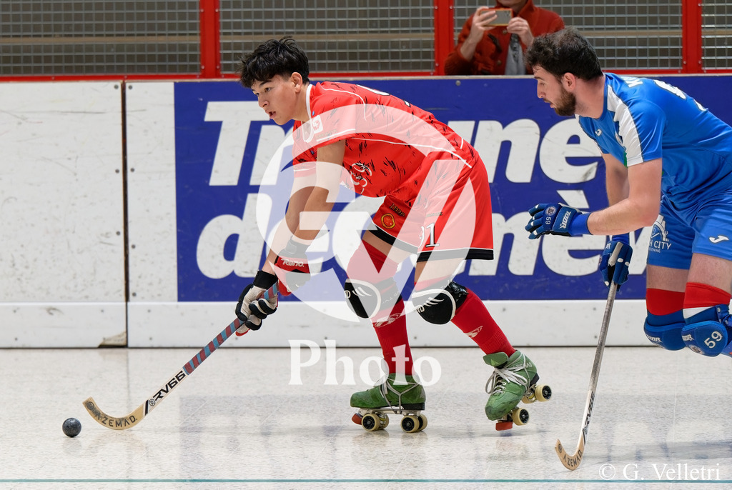 DSC_5963 | Velletri Photo