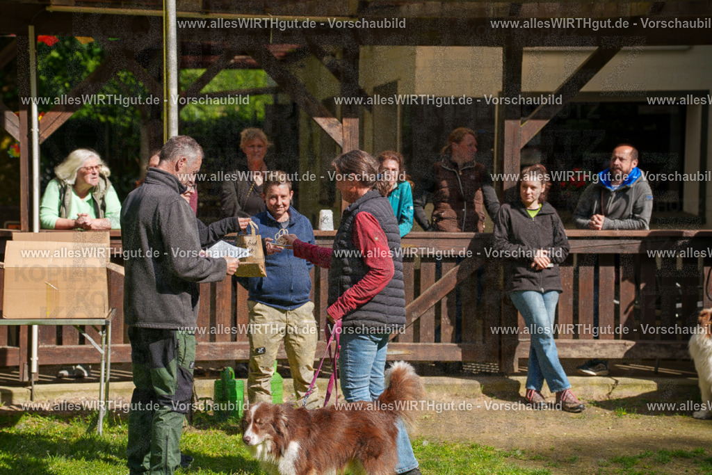 @allesWIRTHgut_Tierfotografie - www.allesWIRTHgut.de - 7R502265 | Professionelle Tierfotografie in Mönchengladbach von Daniel Wirth (allesWIRTHgut). Liebevolle & natürliche Bilder von Hunden & Katzen für unvergessliche Erinnerungen.