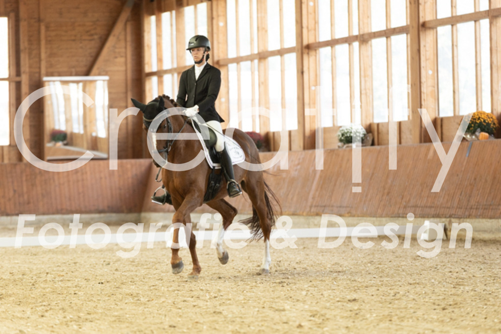 IMG_1218 | Creatify Fotografie