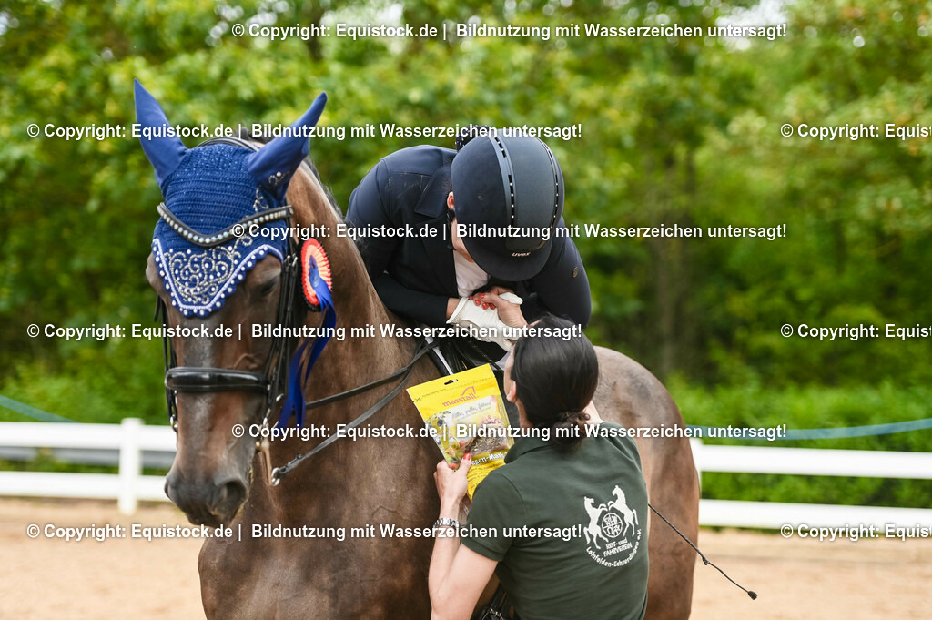 20230716_01_Dressurprüfung Kl.M_0662 | equistock