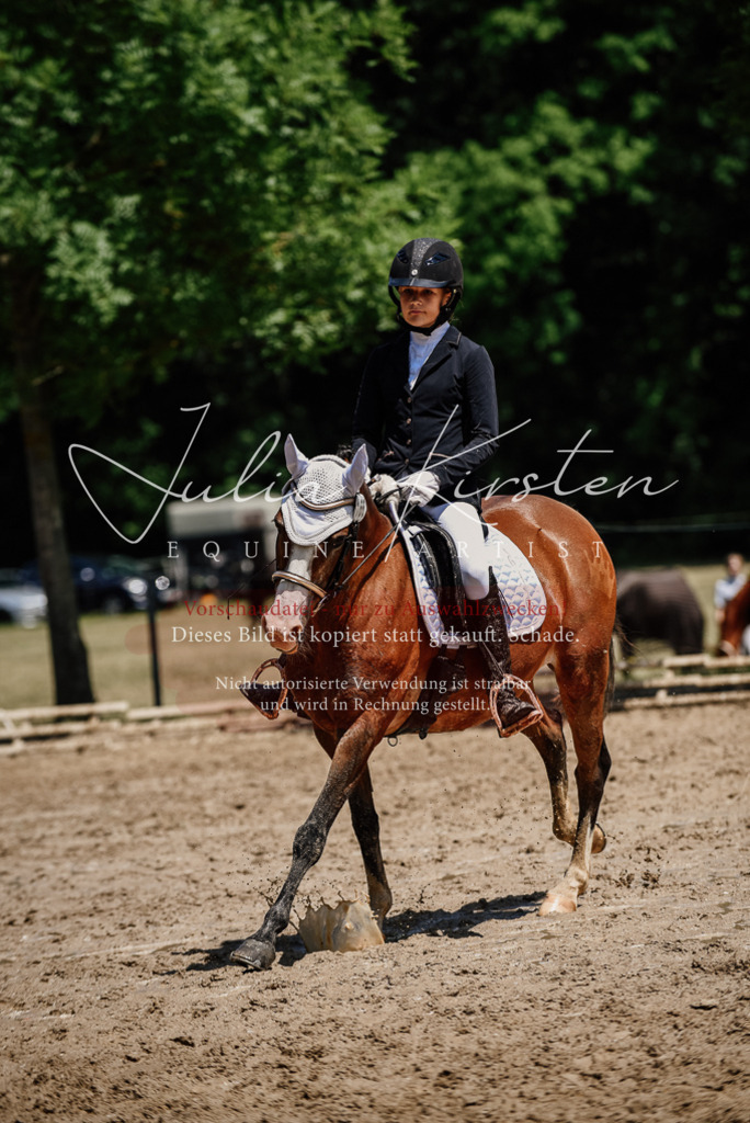 DSC_1945 | Pferde- und Turnierfotografie in Westsachsen. Pferdeportraits, Auftragszeichnungen und intuitive Kunst.