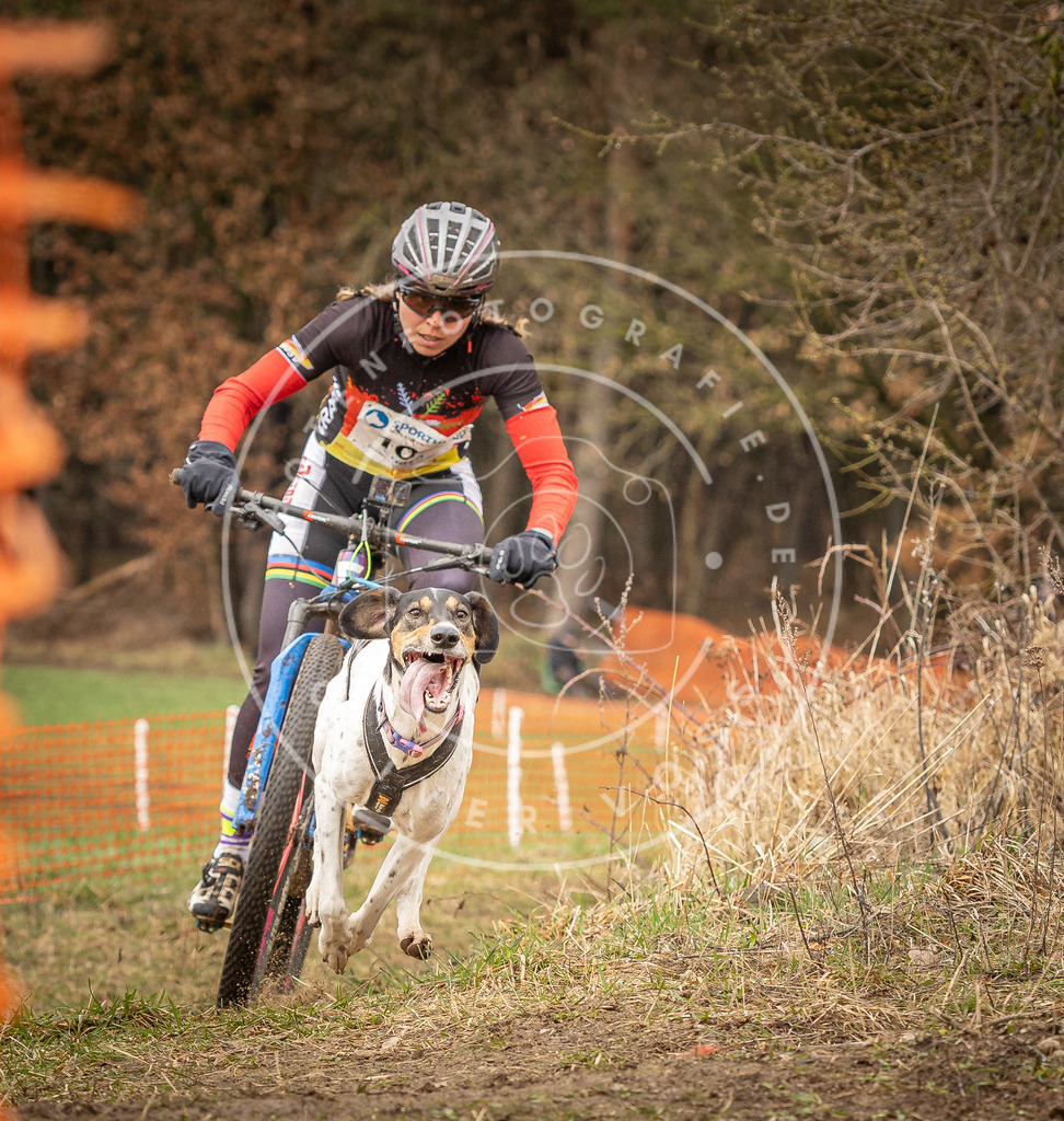 DV3A0791 | Hundefotografie, Tierfotograf, Pfotenfotografie, Fotoshooting Hund, Hunde Portrait, Hundesport, Hundeportraits, Heideshooting, Hunde, Sportfotograf, Hundefotograf, Turnierhundsport, THS,  - Realisiert mit Pictrs.com