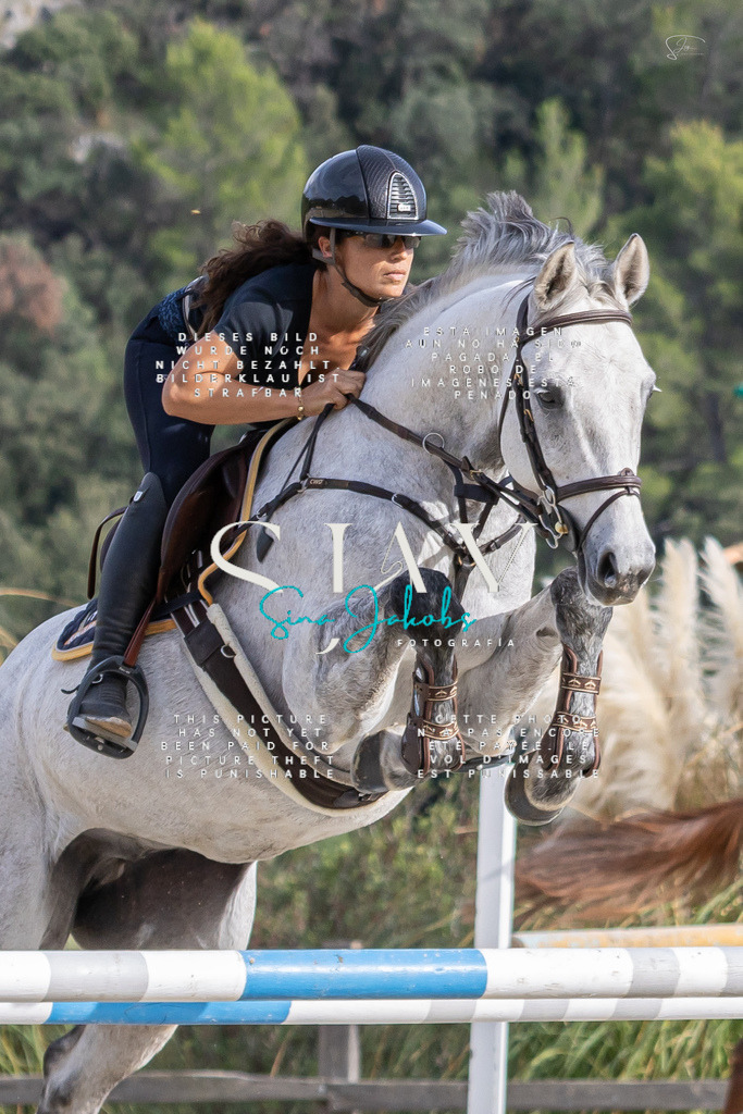 IMG_4121 | s-jay-photography - Realisiert mit Pictrs.com