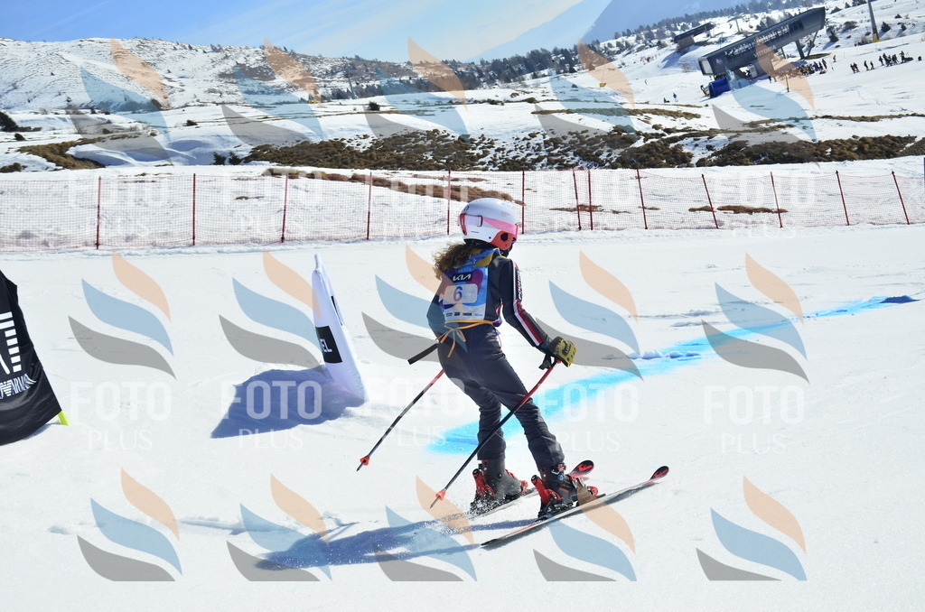 _ELE9749 | holidayphoto