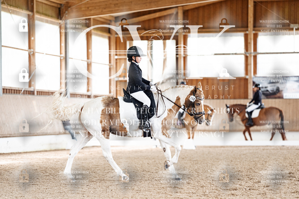 CK900474 | Turnierfotografie Pferdefotografie Trier Rheinland-Pfalz Pferdesport Reitsport Tierfotografie Sportfotografie Pferdevideo Pferdevideografie Equestrianvideography equestrianphotography  - Realized with Pictrs.com