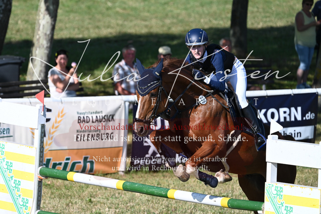 DSC_2345 | Pferde- und Turnierfotografie in Westsachsen. Pferdeportraits, Auftragszeichnungen und intuitive Kunst.