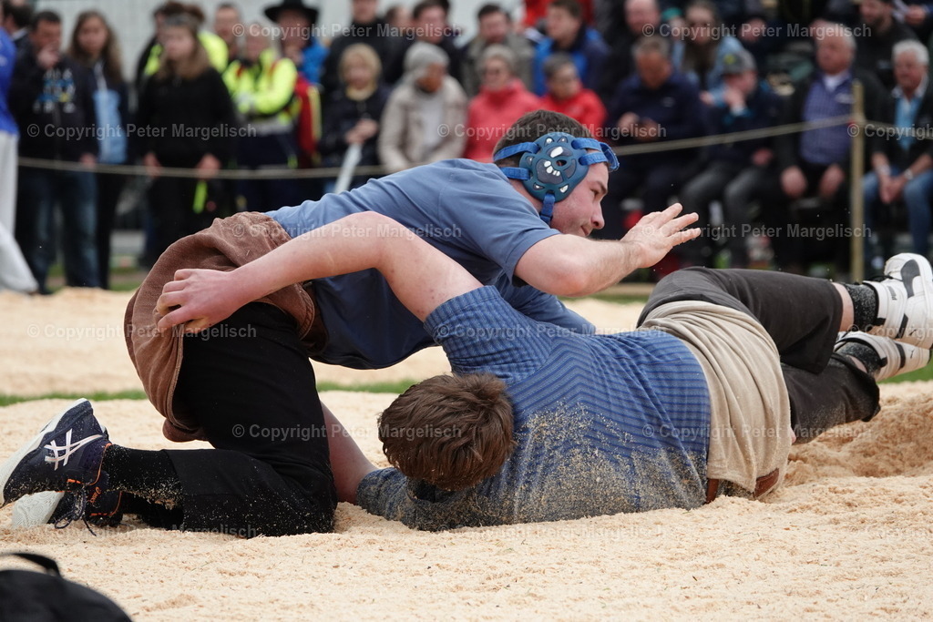 DSC03348 | Schwingen - Realisiert mit Pictrs.com
