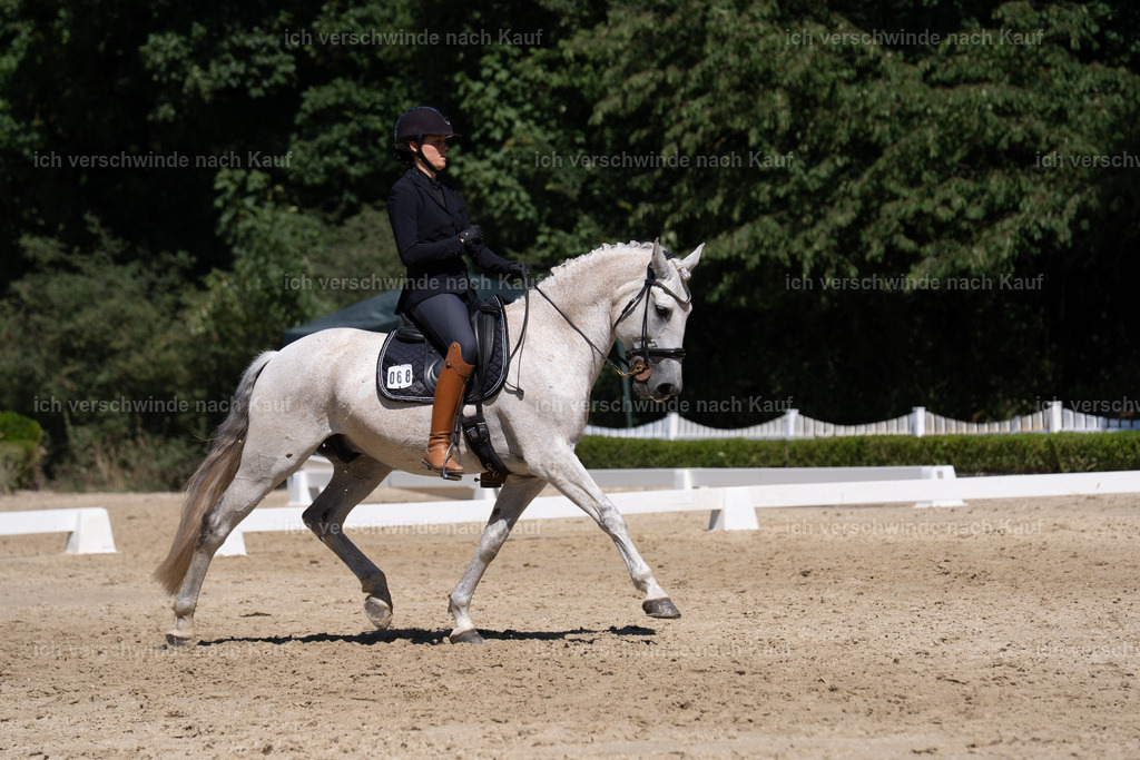 SIN03280 | working equitationturnier fotograf videograf stoibphotography marixx film working equitation deutschland reitsport turnierfotografie eventfotografie equestrian events