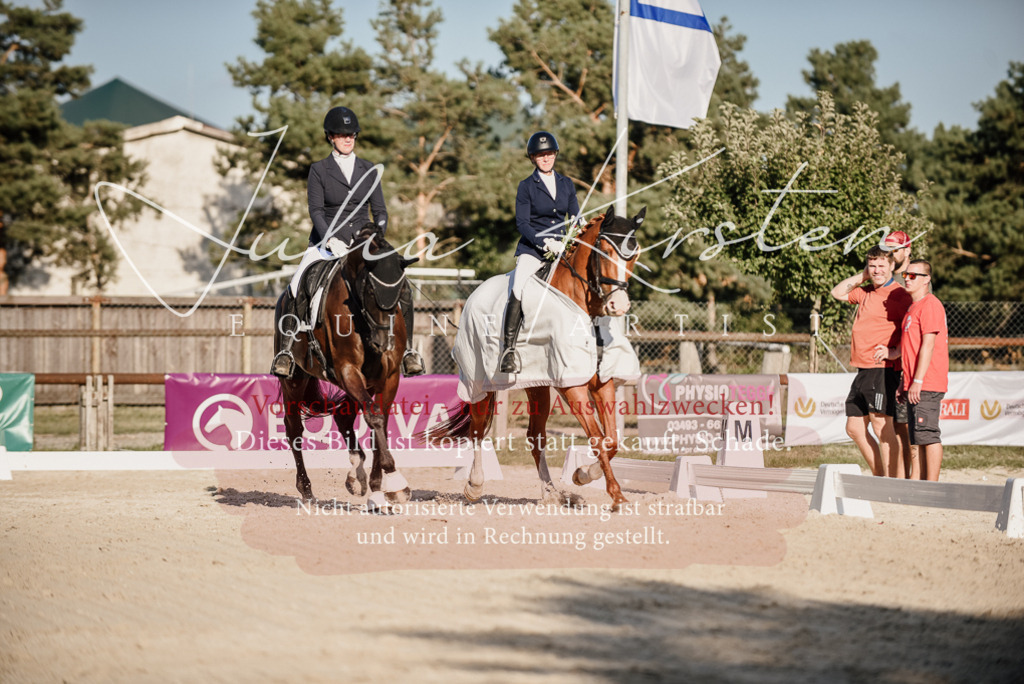 DSC_0758 | Pferde- und Turnierfotografie in Westsachsen. Pferdeportraits, Auftragszeichnungen und intuitive Kunst.