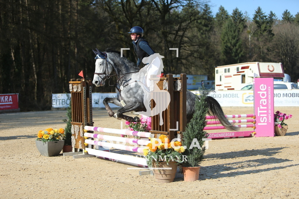 DL2Q2292 | Willkommen bei Brunnmayr - Design & Fotografie – Ihrem Spezialisten für Reitturniere und Pferdeveranstaltungen in Oberösterreich, Salzburg und Bayern! Seit über 17 Jahren sind wir leidenschaftlich dabei.
