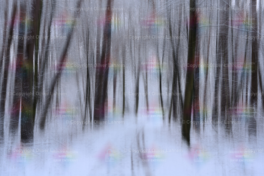 Impressionistischer Heimatwald | Blick in den winterlichen Wald von Klein Welzheim / Seligenstadt.Die Bilder wurden mit einer Fotografische Technik aufgenommen und haben dadurch ein spezielle Ästhetik.