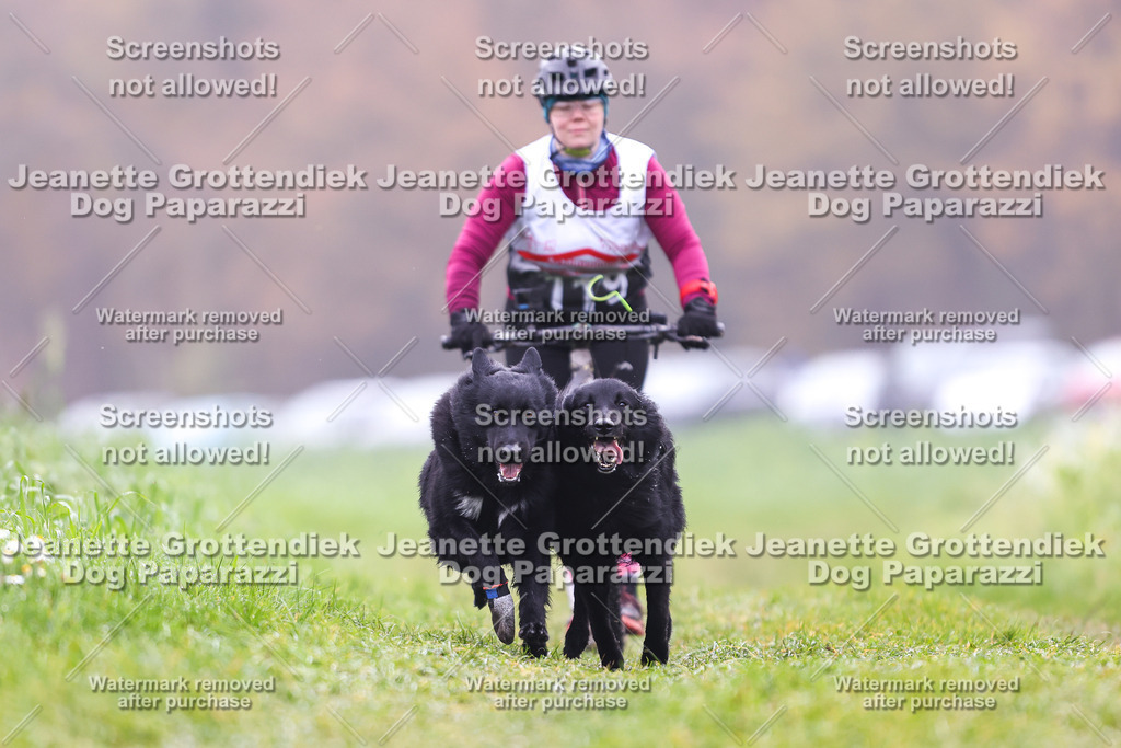 Dog Paparazzi - Visbeck 25 -111 | Dog Paparazzi Jeanette Grottendiek Fotografie & Videografie - Realisiert mit Pictrs.com