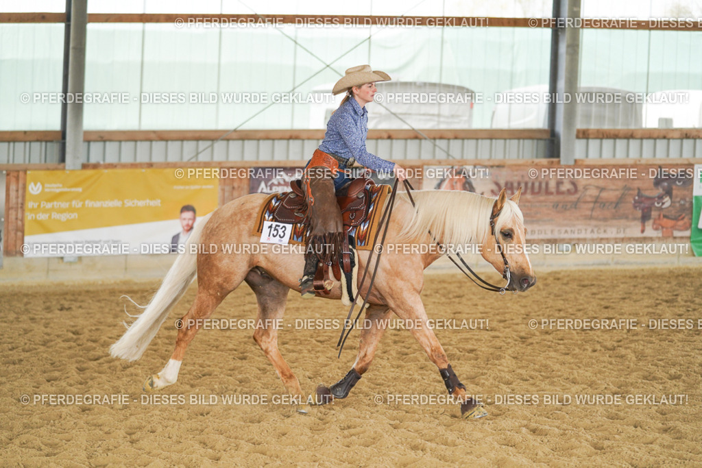 DSC05890 | Pferdegrafie