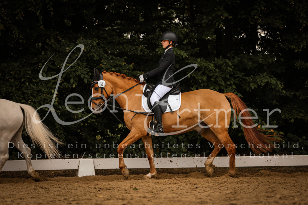 DoDrWB00215 | Leoni Ertmer Photography - Realisiert mit Pictrs.com