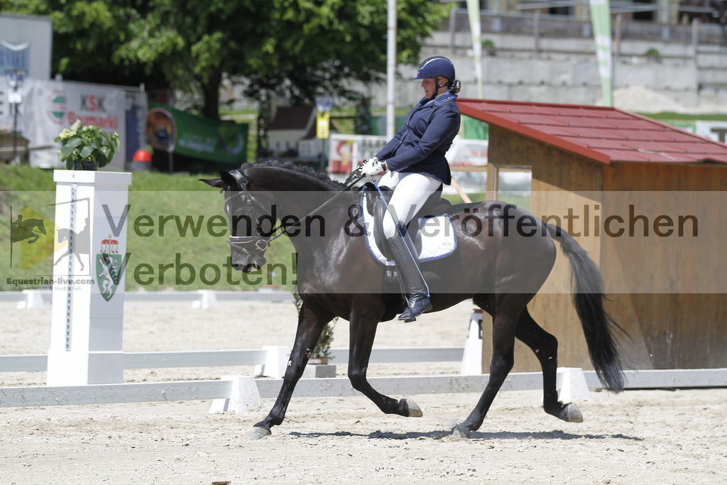 _MG_4970 | equestrian-live-com