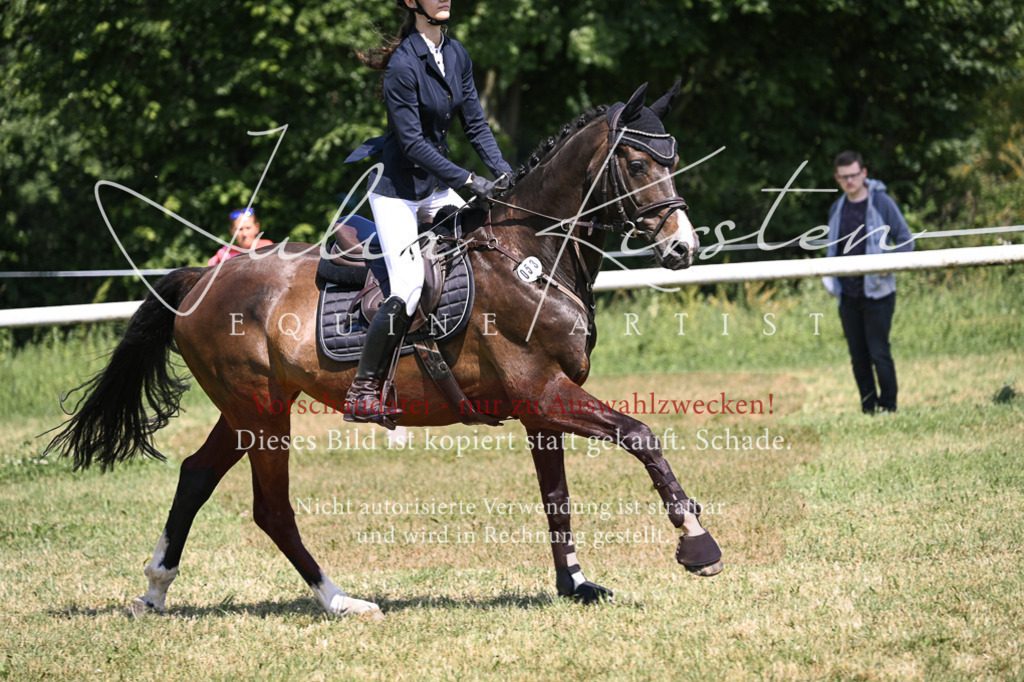 DSC_0441 | Pferde- und Turnierfotografie in Westsachsen. Pferdeportraits, Auftragszeichnungen und intuitive Kunst.