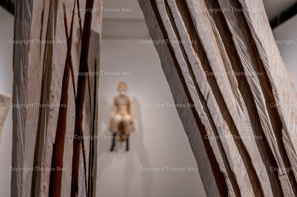 DSC_9374 | Museum Bensheim, Ausstellung Jochen Walpoth, 