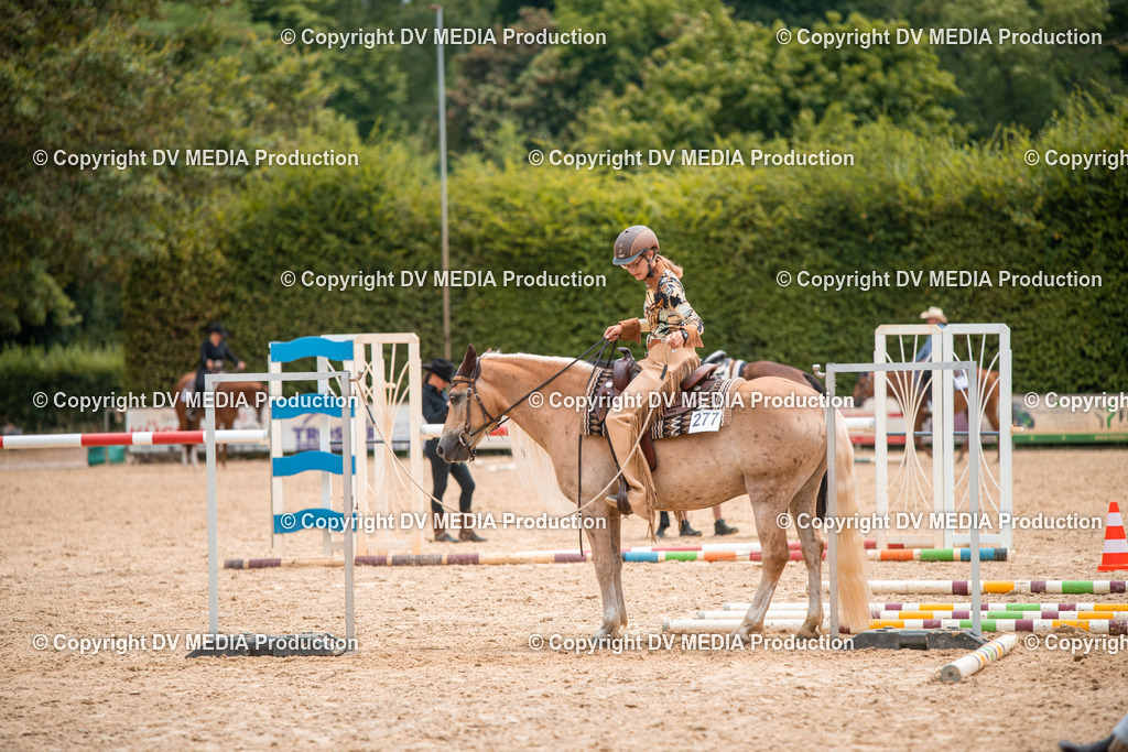 ZS2_8008 | dv-media-shop - Realisiert mit Pictrs.com