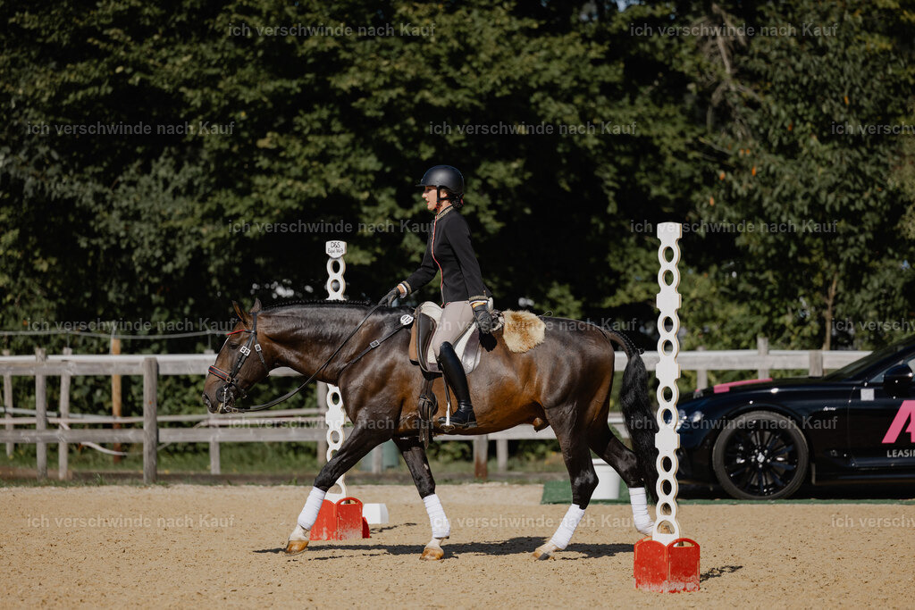 Virginie12FHC2025-27657 | working equitationturnier fotograf videograf stoibphotography marixx film working equitation deutschland reitsport turnierfotografie eventfotografie equestrian events