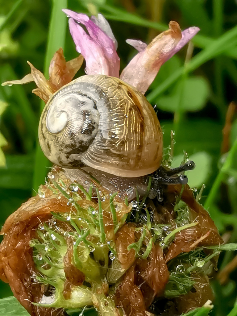 PSX_20230830_230056 | mtkfoto_ - Realisiert mit Pictrs.com