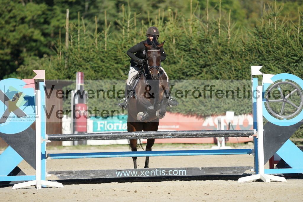 DSC09541 | equestrian-live-com