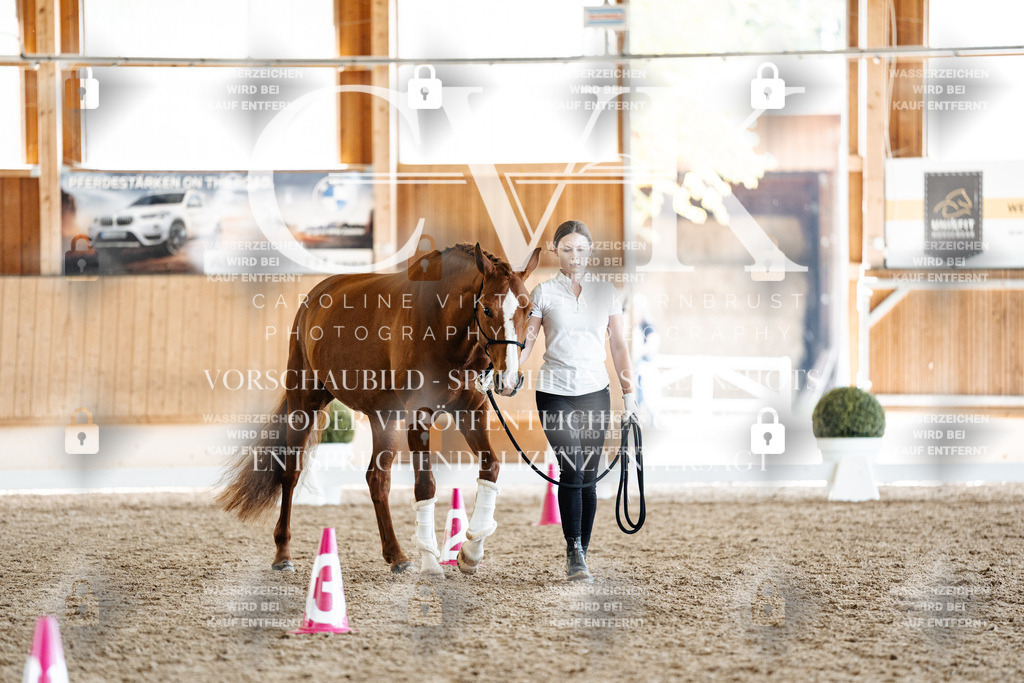 CK907668 | Turnierfotografie Pferdefotografie Trier Rheinland-Pfalz Pferdesport Reitsport Tierfotografie Sportfotografie Pferdevideo Pferdevideografie Equestrianvideography equestrianphotography  - Realisiert mit Pictrs.com