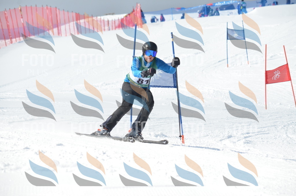 D9016 | holidayphoto