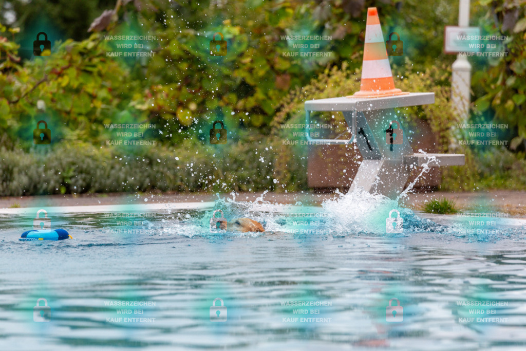 _HP_6080_1000o | HetPix, HetPix Fotodesign, Fotografie, Fotodesign, Webshop, Sportfotografie, Portraitfotografie, Onlineshop, Sportfotografie, Polch, Motorsportfotografie, Eventfotografie