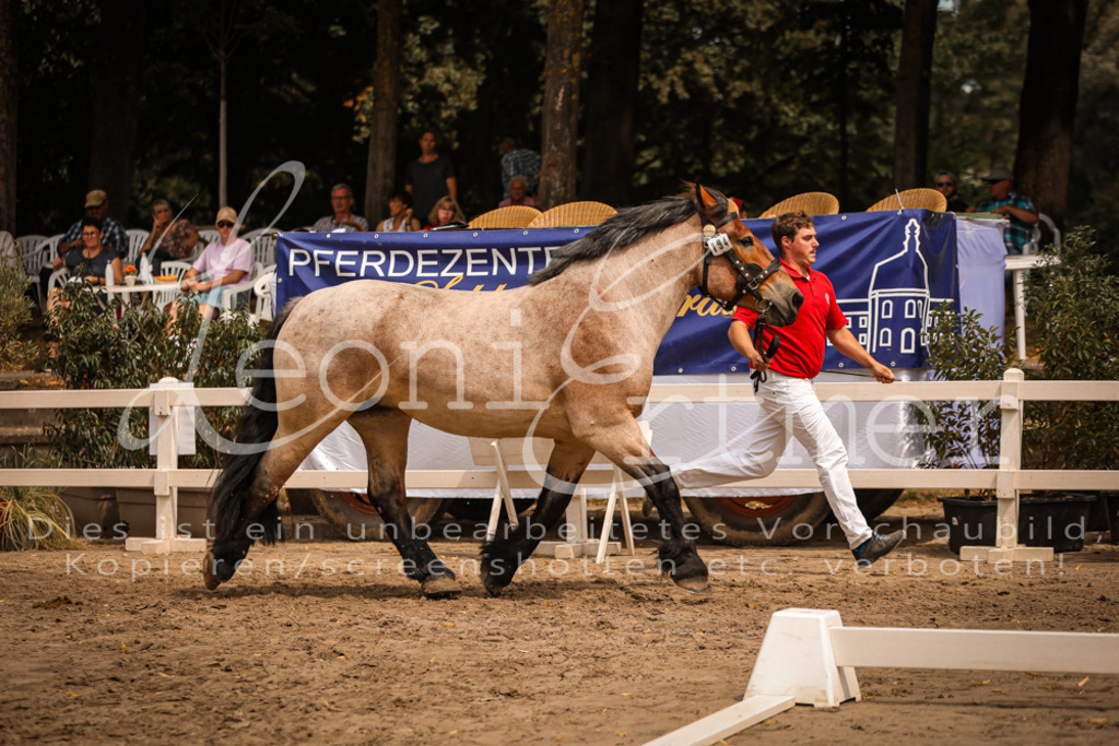 3.Sa00073 | Leoni Ertmer Photography - Realisiert mit Pictrs.com