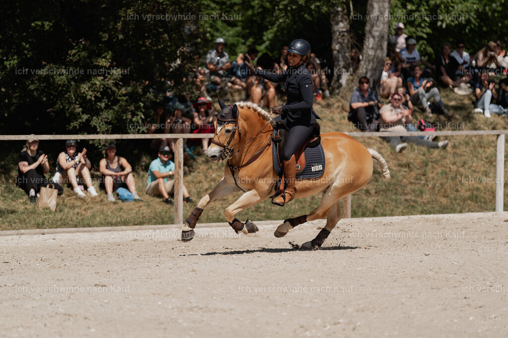 WE_SP_Stoib_308_PI2025_1632 | Pferd International München 2025