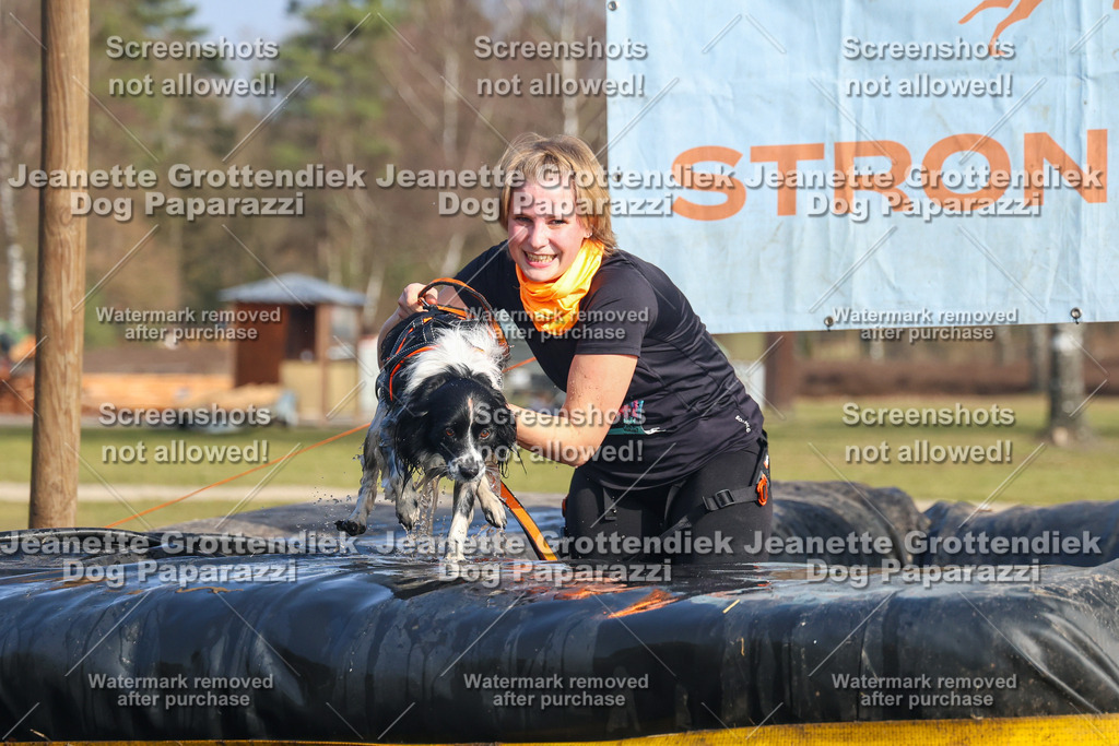 Dog Paparazzi - Strongdog North Mrz26-3034 | Dog Paparazzi Jeanette Grottendiek Fotografie & Videografie - Realisiert mit Pictrs.com